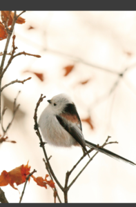 eyecatch_sample_image_02_20250302231318