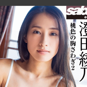 eyecatch_sample_image_01_20250711231803