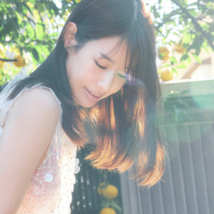 eyecatch_sample_image_03_20250815231216