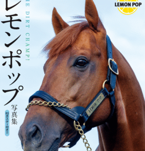 eyecatch_sample_image_01_20250919230223