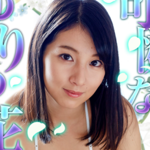 eyecatch_sample_image_01_20260201041709